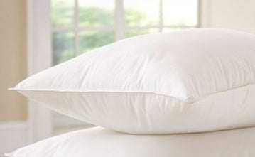 Feather pillow alternative hotsell